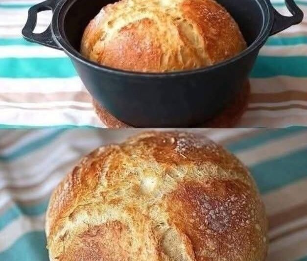 🍞 Dutch Oven Artisan Bread