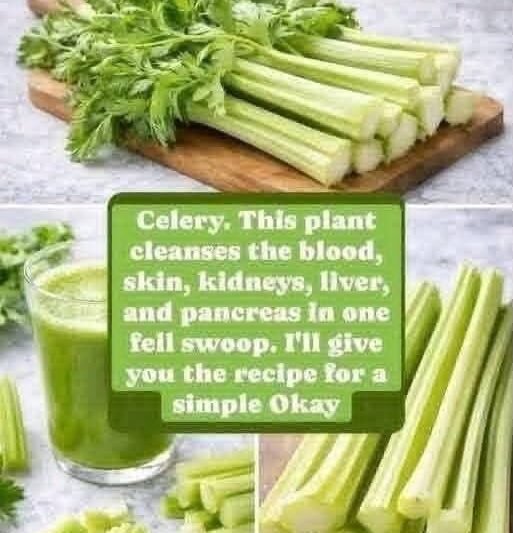 Celery Juice Recipe and Health Benefits